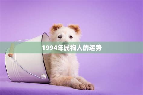 1994年是什么狗|94年属狗是什么命 94年属狗的是什么命